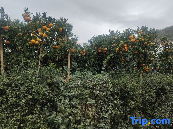 Тайчжоу: Tiantai Pinyuan Homestay