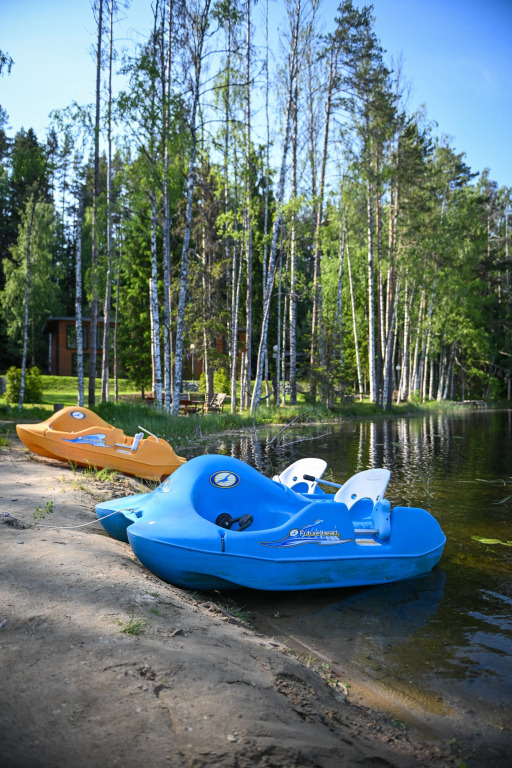 Ихала: Коттедж Brusnika Village