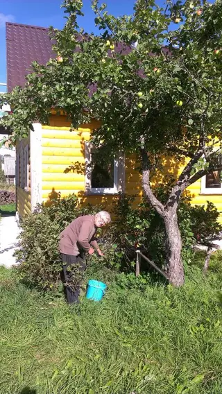 Гостевой Дом Таежная Сказка — фото 2
