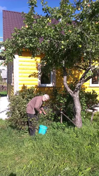 Карельская Масельга: Гостевой Дом Таежная Сказка