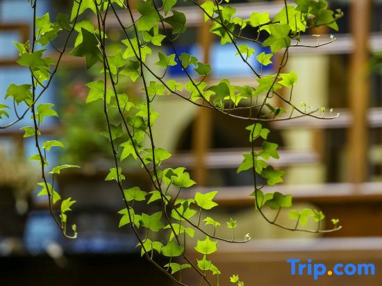 Наньчун: Tongzi Huakai Homestay