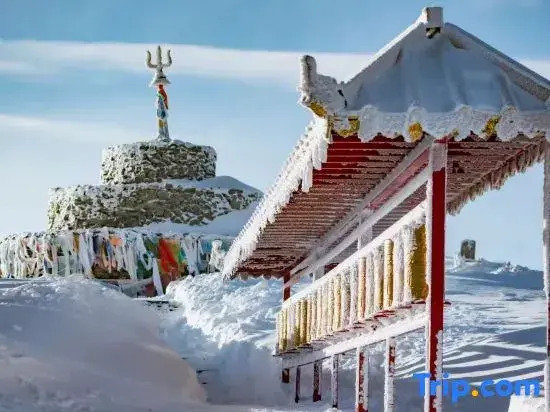 Буркин: Jupiter Sky Resort