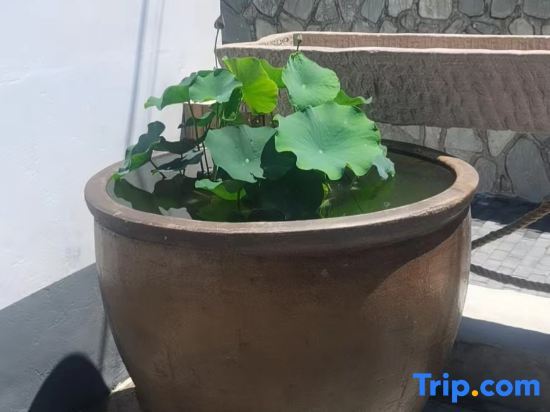 Пекин: Beijing Huairou Xiangshui Lake Scenic Area Shaudi B&B