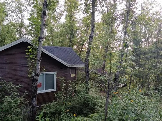 Тайюань: Yangqu Champagne No. 1 Tree House Art Camp