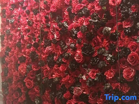Тайчжоу: Guoyan Mom's Flower Room Homestay (Ziyang Street Taizhou Fucheng Branch)