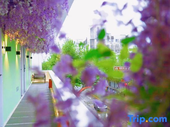 Тайчжоу: Guoyan Mom's Flower Room Homestay (Ziyang Street Taizhou Fucheng Branch)
