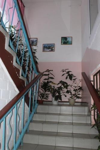Karelonego Inn — фото 1