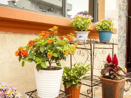 Чжоушань: Shengsi Haiyi Lanting Homestay