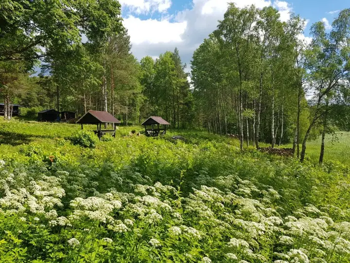Кемпинг у Рауталахти — фото 5