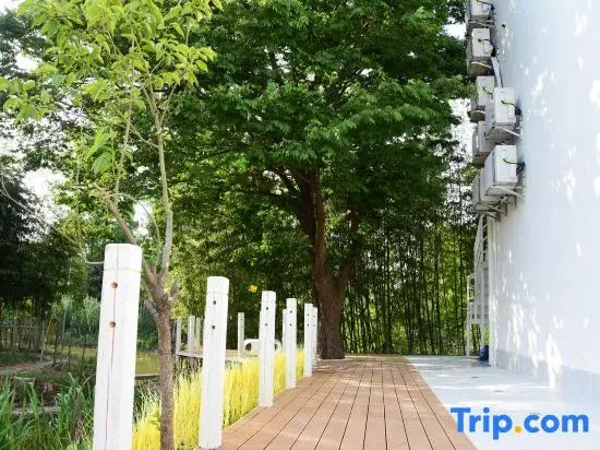 Шанхай: Shanghai shishengyu homestay