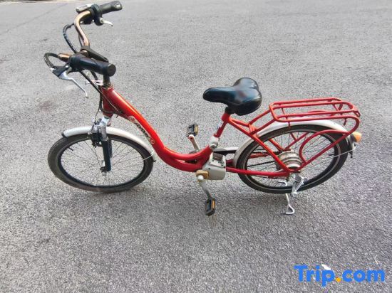 Шанхай: Shanghai Muxi Garden Homestay (Chongming Forest Park)