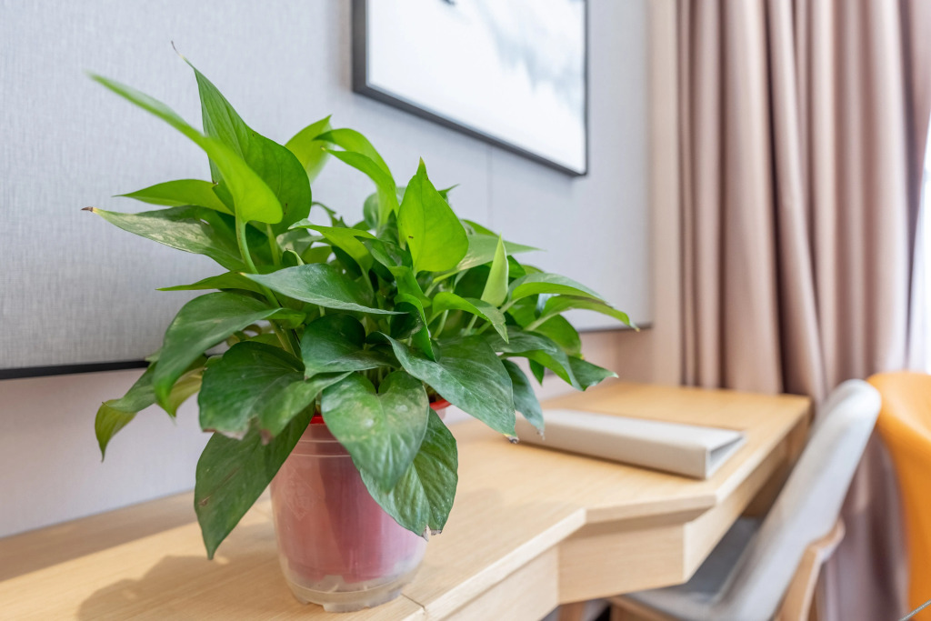 Ичан: Donghui Yunju Hotel (Yichang Yiling Wanda Plaza)