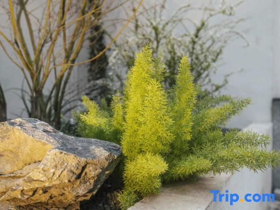 Лоян: Qiji Homestay (China National Garden Branch)