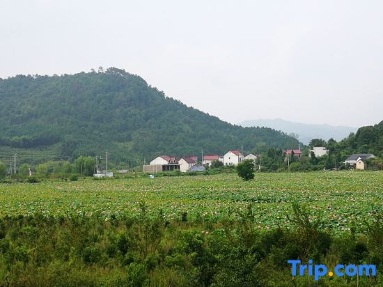 Хоу Ань Сян: Chaji Shui'an Home Inn