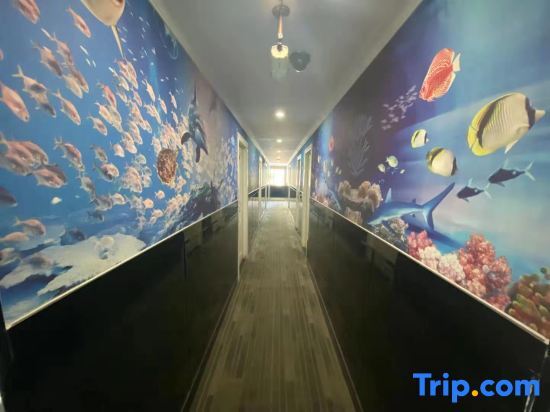 Шанхай: Jujia Hostel