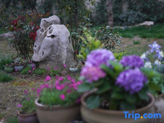 Шанхай: Shanghai Lu Yin Xi Homestay