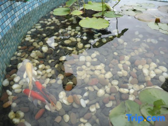 Шанхай: Shanghai Liyuan Jiashe Boutique Homestay