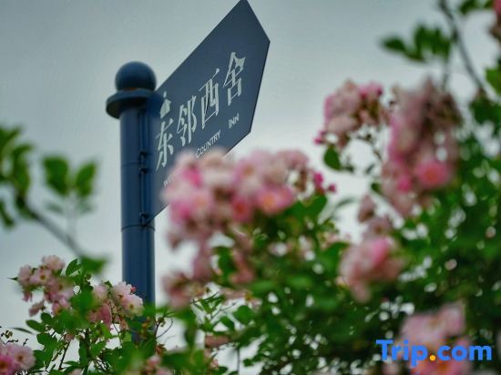 Шанхай: Shanghai East Linxishe Homestay