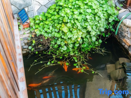 Шанхай: Shanghai Yifangtian Homestay