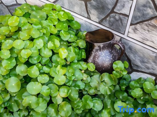 Шанхай: Shanghai Yifangtian Homestay