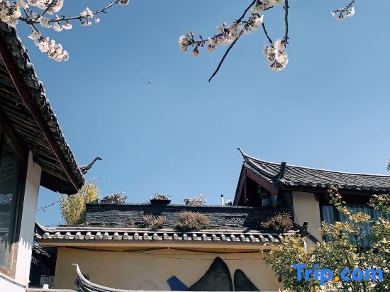 Лицзян: Guanshanyue Designer Homestay