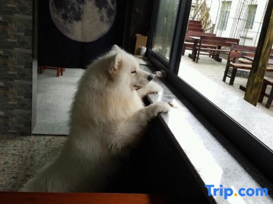 Шанхай: Gujingfang homestay in Shanghai