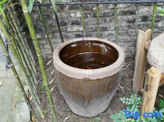 Шанхай: Gujingfang homestay in Shanghai