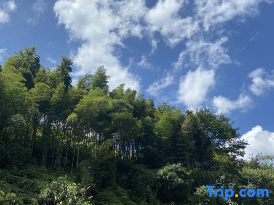 Шанхай: Gujingfang homestay in Shanghai
