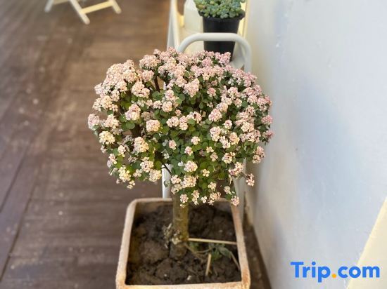 Шанхай: TheOne Homestay
