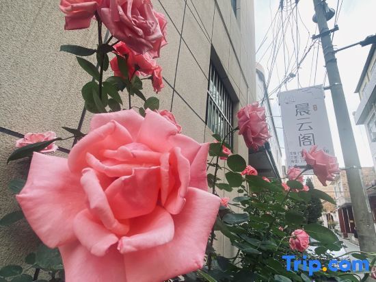 Лоян: Luoyang Chenyunge Homestay