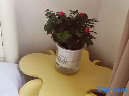 Шанхай: Relaxed Residence Hotel