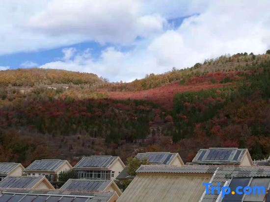 Пекин: Beijing Hangjia Valley Chenxing Farm