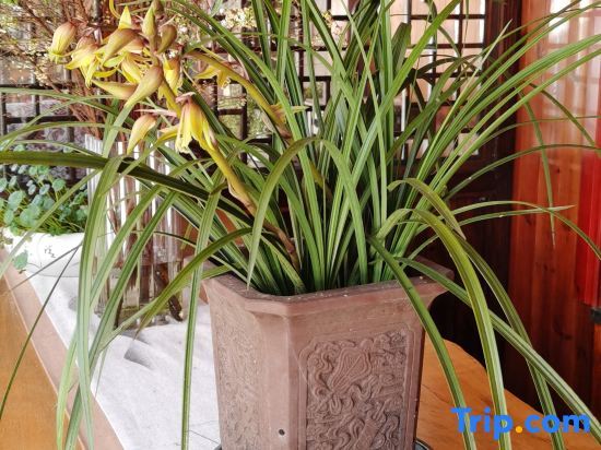 Ханчжоу: Wangshui Lushan Homestay