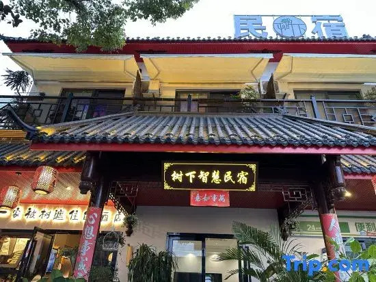 Шанхай: Shanghai Wisdom Hostel Under the Tree
