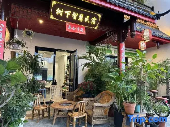 Шанхай: Shanghai Wisdom Hostel Under the Tree