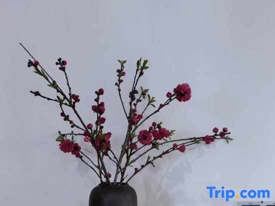 Xuancheng: RenJoy Hotel Jixi Longchuan Scenic Area