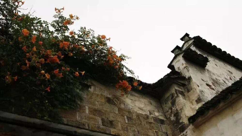 Хуаншань: Pig's Boutique Hotel Xidi