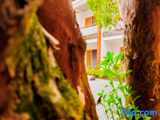 Лишуй: Xunkezhan Hostel