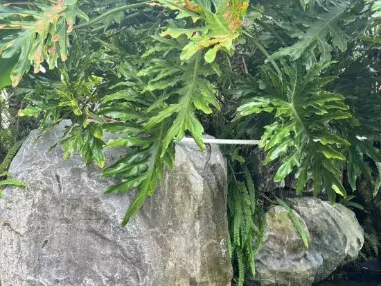 Хэчжоу: Hezhou xiyingmen mountain villa
