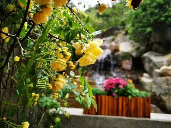 Ханчжоу: papaWO Homestay