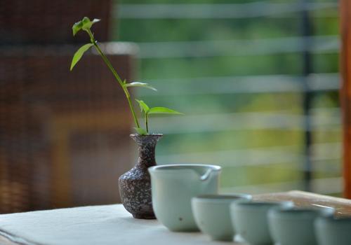 Ханчжоу: Boutique House Hangzhou