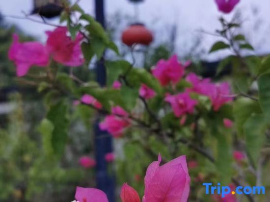 Хойчжоу: Yueyuan Hot Spring Hotel (Huidong Andun Retang)