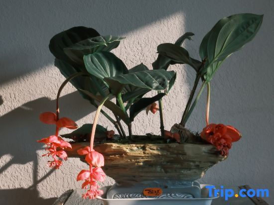 Синъи: Xingyi Wanfenglin Ruhuazaoye Homestay (Baguatian Observation Deck)