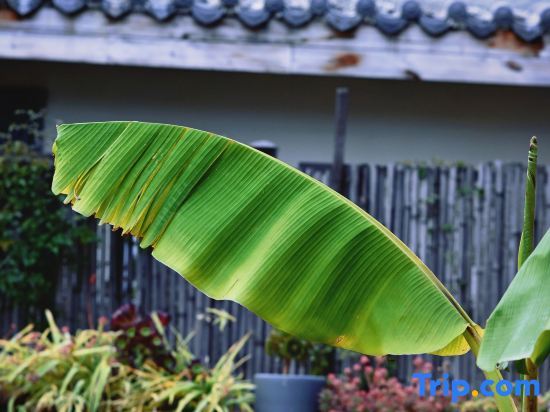 Сичан: Shan Li Yun Boutique Hostel