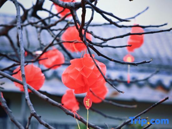 Сичан: Shan Li Yun Boutique Hostel