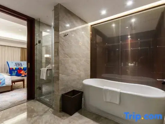 Чжэньцзян: Jinlong International Hotel