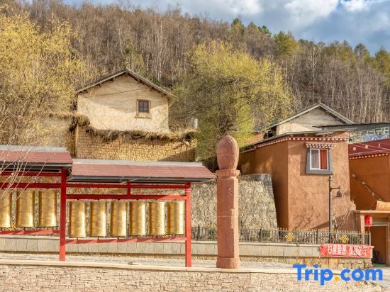 Шангри-Ла: Donkey House Youth Hostel (Shangri-La Dukezong Ancient City Branch)
