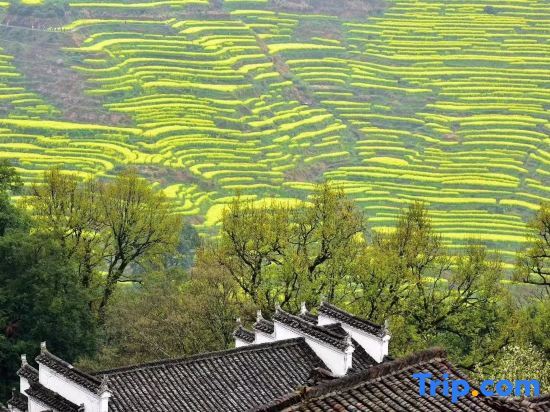 Шанграо: Huangling Impression Boutique Hostel