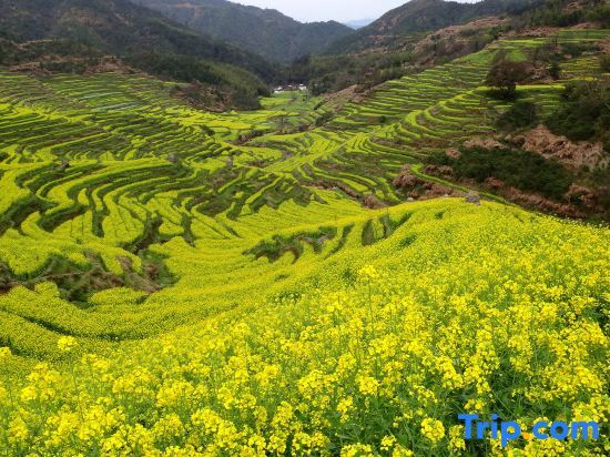 Шанграо: Huangling Impression Boutique Hostel