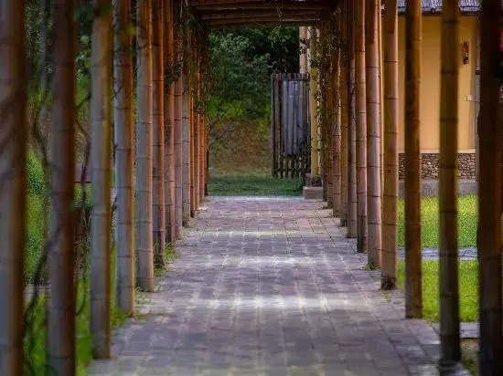Цзиньюань: Bixiang Inn